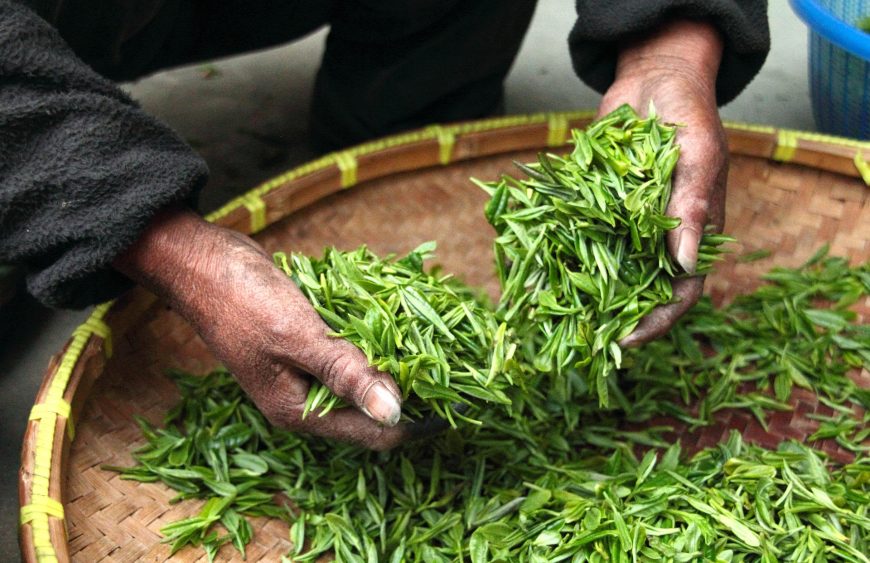 tea-623796_1920